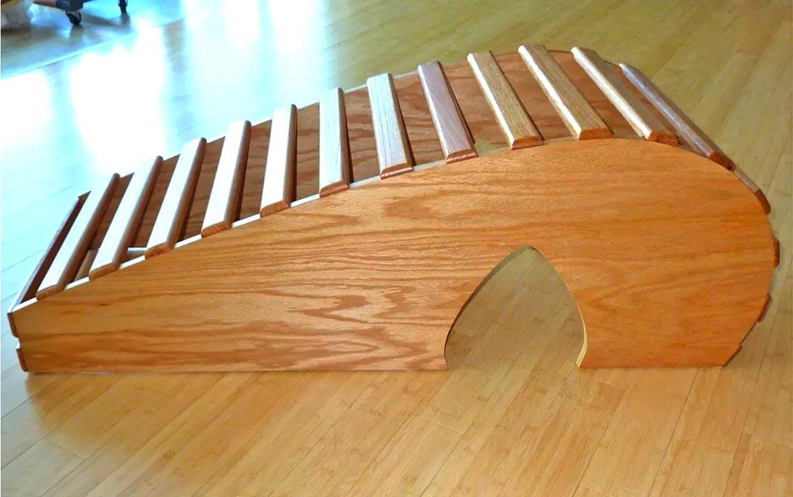 Бэкбендер Агра Сиена (ББН-002105)