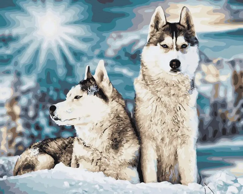 Картина по номерам Brushme Сибирские хаски 40x50 см (BRM45465) Картина по номерам Brushme Сибирские хаски 40x50 см (BRM45465)