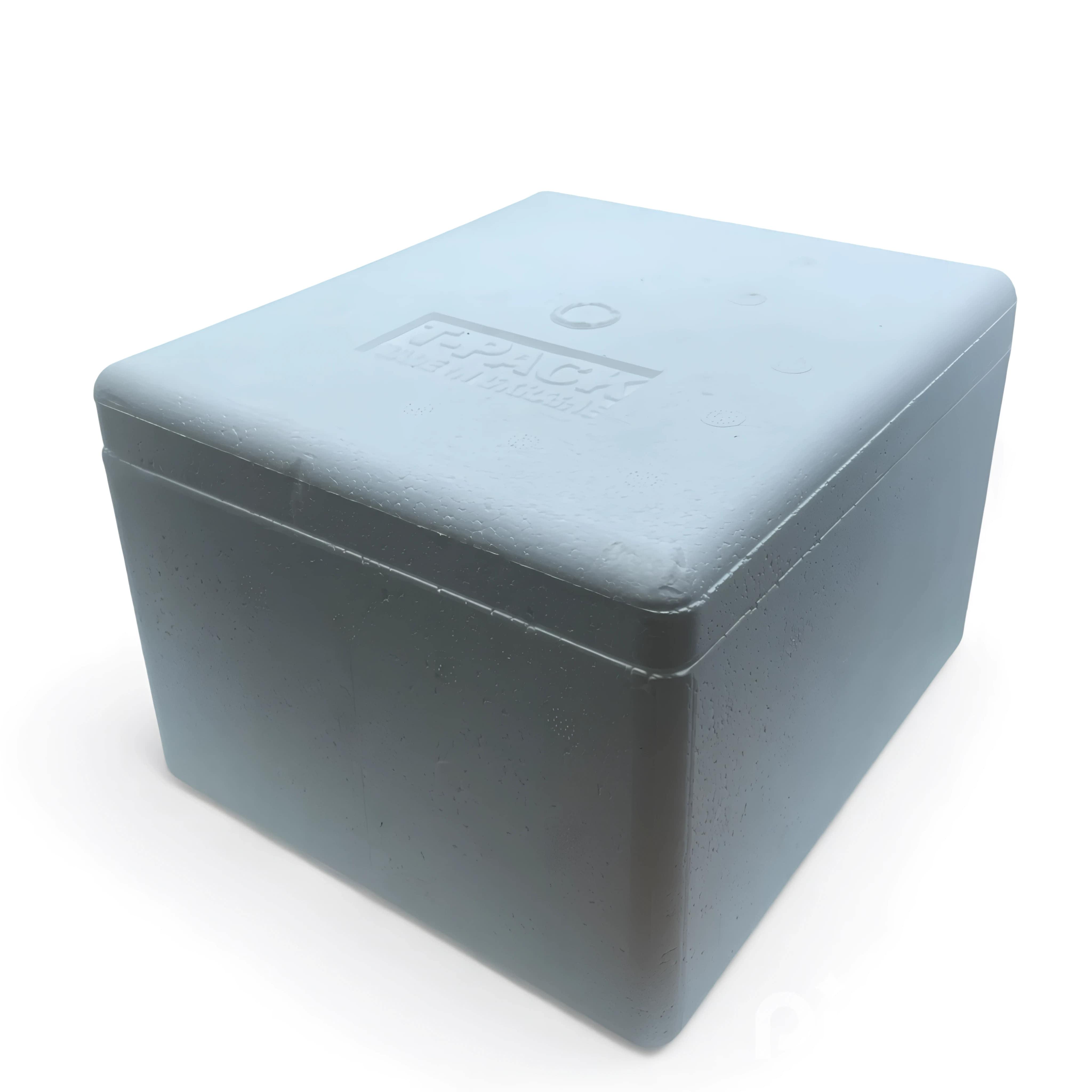 Термоконтейнер 4 л для перевезення заморожених продуктів/ліків/їжі (906319)