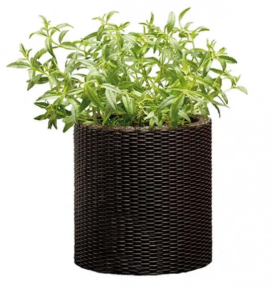 Горшок уличный Keter Large Cylinder Planter круглый (CNT00012166) Горшок уличный Keter Large Cylinder Planter круглый (CNT00012166)