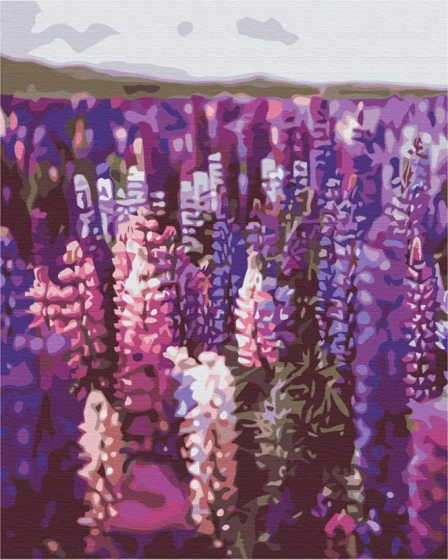 Картина по номерам Brushme Лаванда 40x50 см (BSM-B52625)