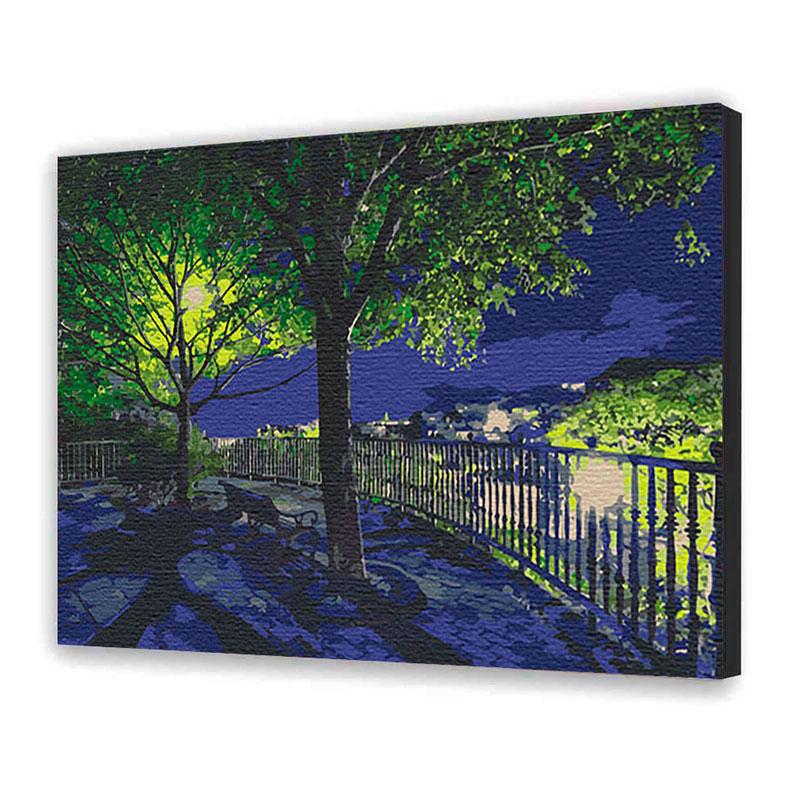Картина по номерам ART CRAFT Ночной парк 40х50 см (10585-AC)