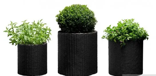Вазон для уличных растений Keter Medium Cylinder Planter круглый 36х36 см (CNT00012162) - фото 3 Вазон для уличных растений Keter Medium Cylinder Planter круглый 36х36 см (CNT00012162) - фото 3
