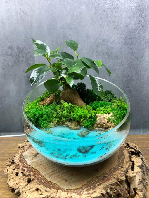 Бонсай у відкритій вазі з імітацією водойми 15х20 см