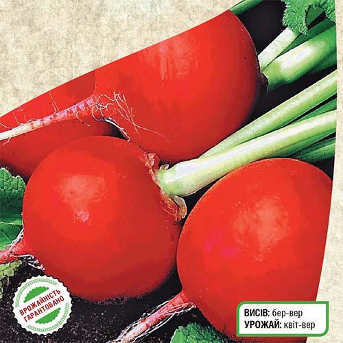 Насіння Редіс Florium Алекс (11537) - фото 2