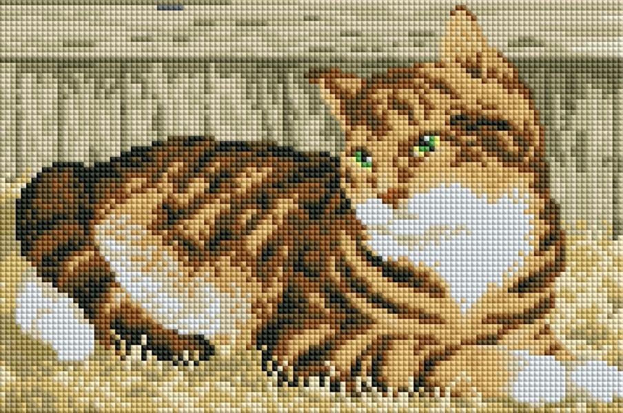 Алмазная мозаика ColorArt Котик (DT704)