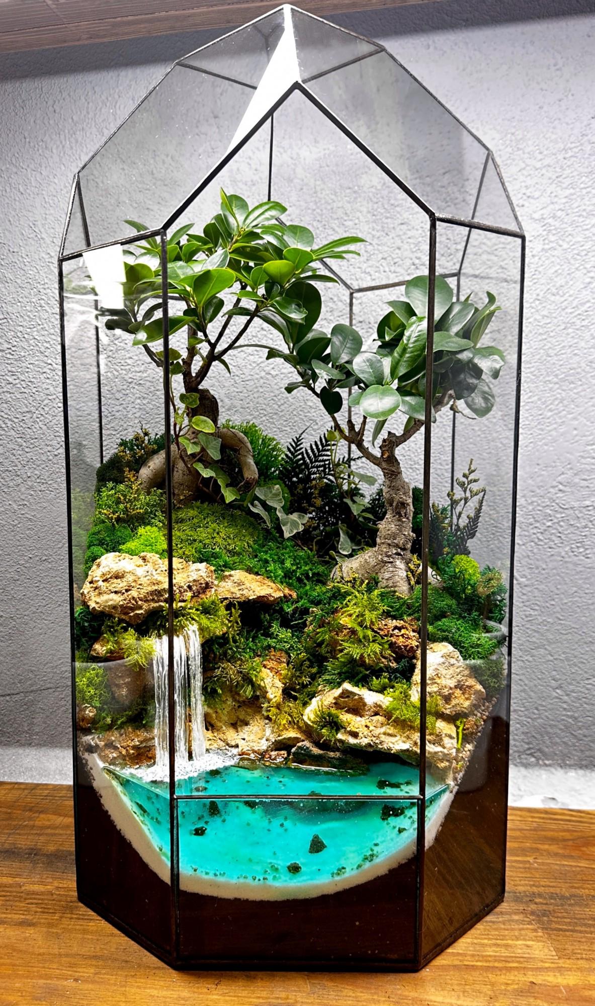 Флорариум Джунгли с двумя деревьями бонсай и водопадом 50х27 см
