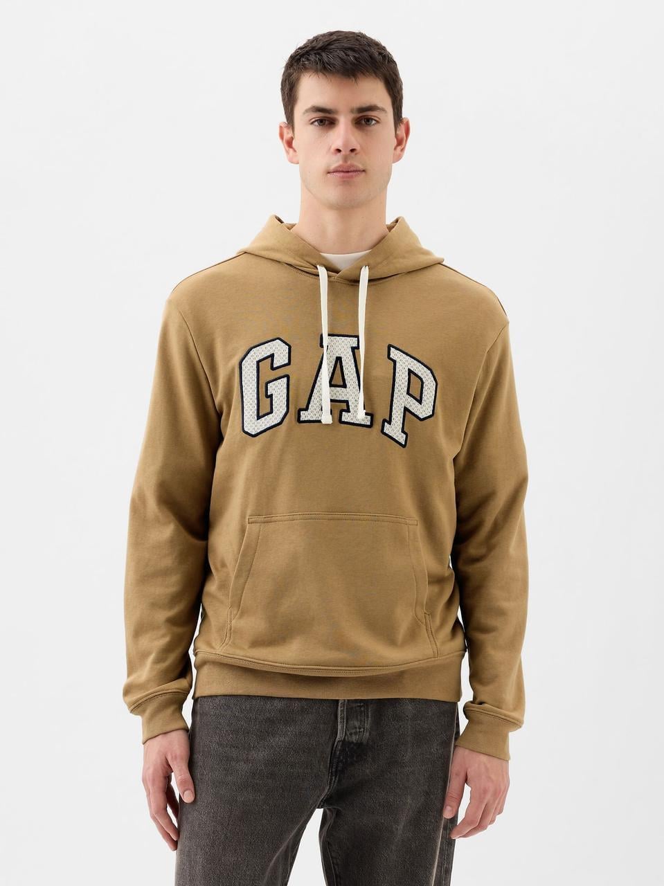 Худи мужские GAP на флисе из лого M Коричневый (2322568096)