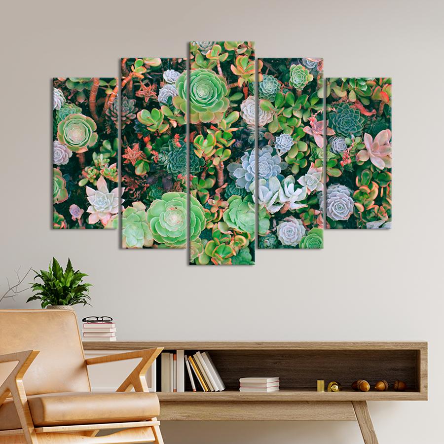 Картина цветы и растения Разнообразные суккуленты 137x85 см (A1016-5)