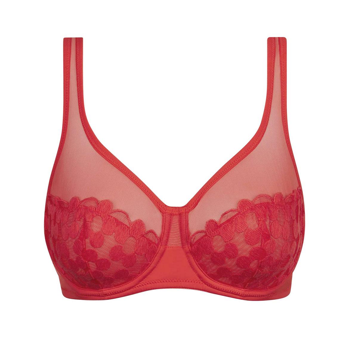 Бюстгальтер классический на косточках DIM Generous Broderie pom. d’amour ARH C75