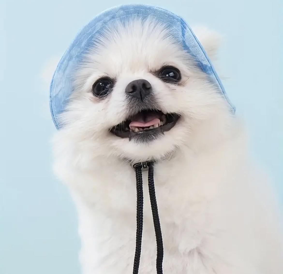 Панама для животных Ommy S Light blue (756756) - фото 4 Панама для животных Ommy S Light blue (756756) - фото 4