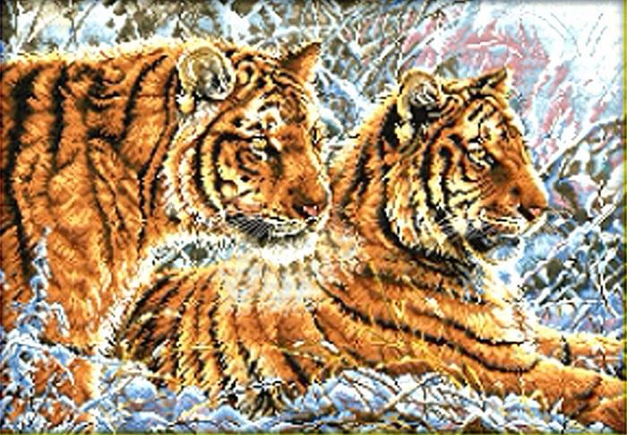 Набор для вышивки крестиком Тигры 59х41 см (5377) Набор для вышивки крестиком Тигры 59х41 см (5377)