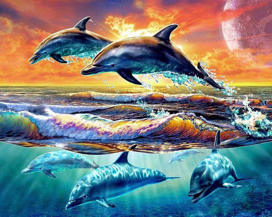 Алмазная мозаика Игры дельфинов 50x40 см (DM.208)