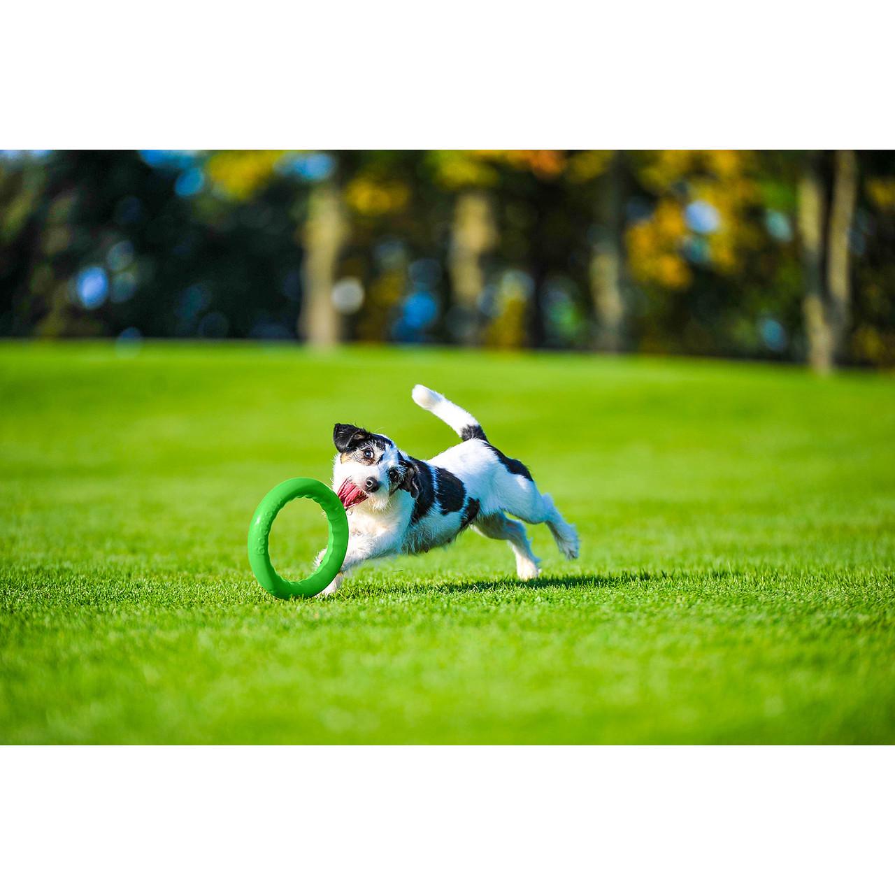 Игрушка для собак PitchDog 20 см Зеленый (62375) - фото 3