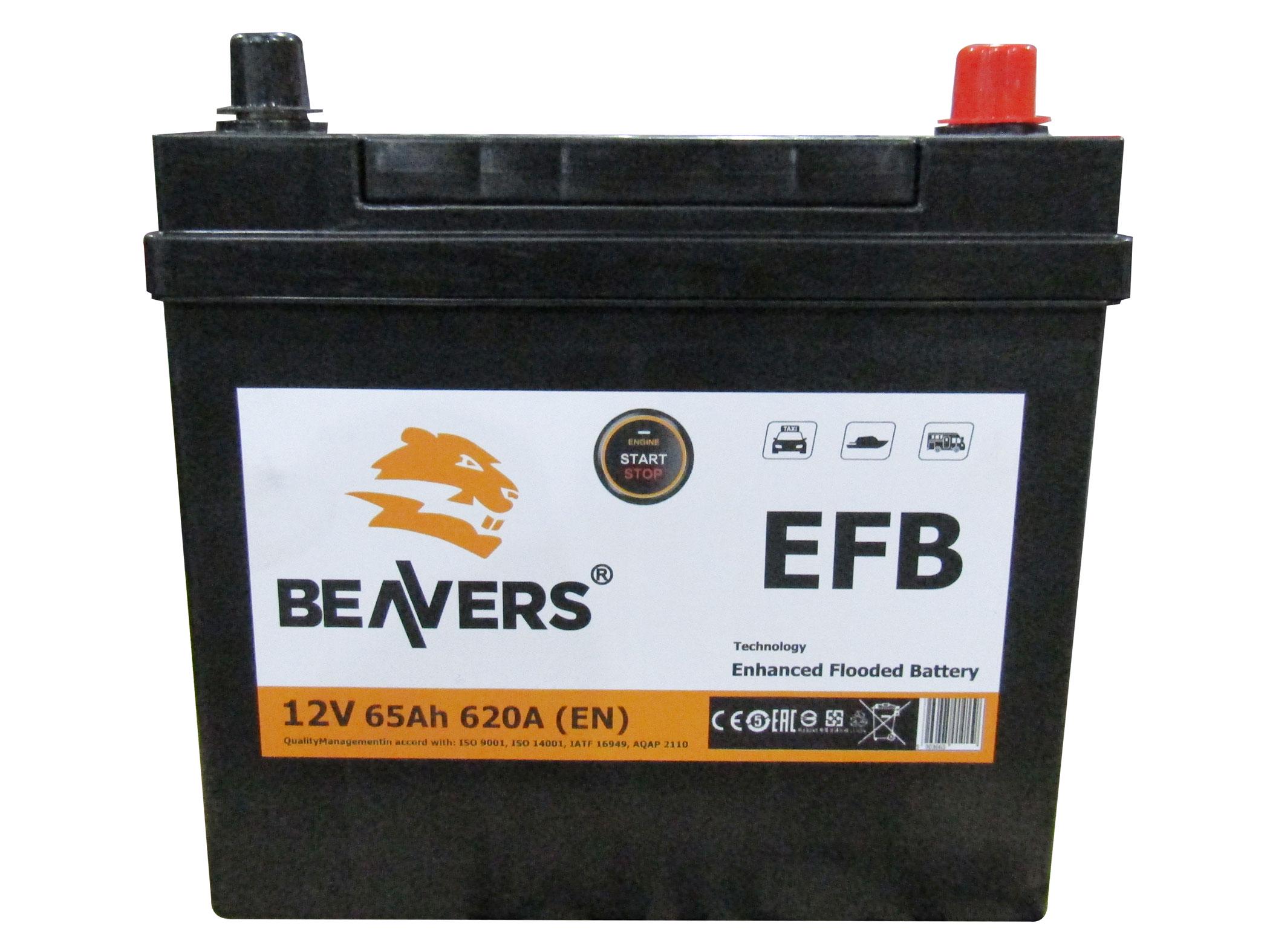 Акумулятор BEAVERS 6СТ-65 R+ ASIA EFB 620А - фото 4