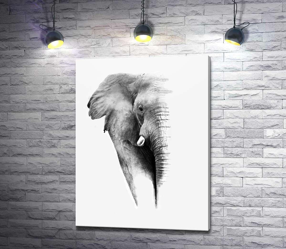 Картина ArtPoster Черно-белый портрет слона 75x100 см Модуль №1 (004498)