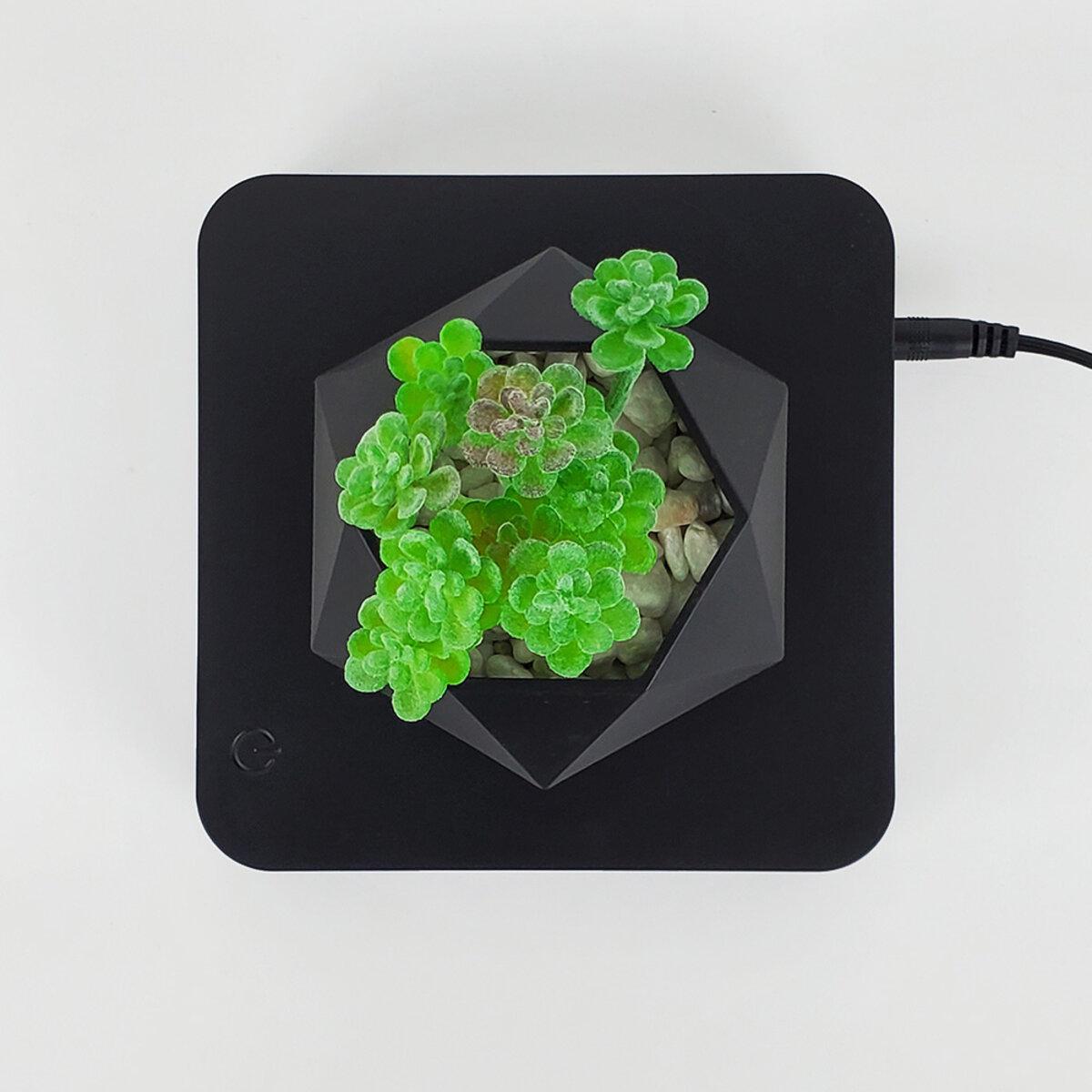 Горщик для рослин магнітний левітуючий HCNT Magnetic Levitating Pot M10-GW4 ABS Black (SIM10-GW4) - фото 3 Горщик для рослин магнітний левітуючий HCNT Magnetic Levitating Pot M10-GW4 ABS Black (SIM10-GW4) - фото 3