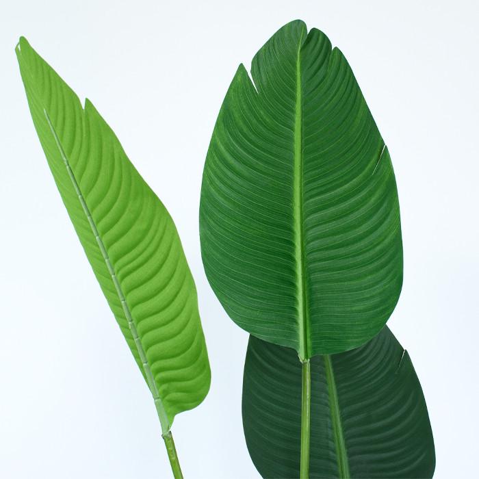 Искусственное растение Banana Tree 155 см (TW-09) - фото 3