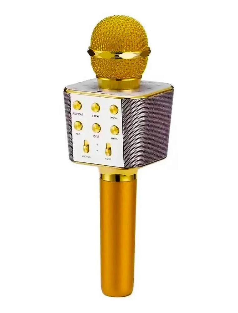 Микрофон Wster WS-1688 USB/microSD/AUX/Bluetooth/REC (22031077)