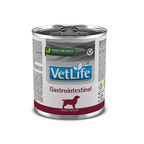 Корм влажный Farmina Vet Life Gastrointestinal для собак при заболевании ЖКТ 300 г (2998381537)