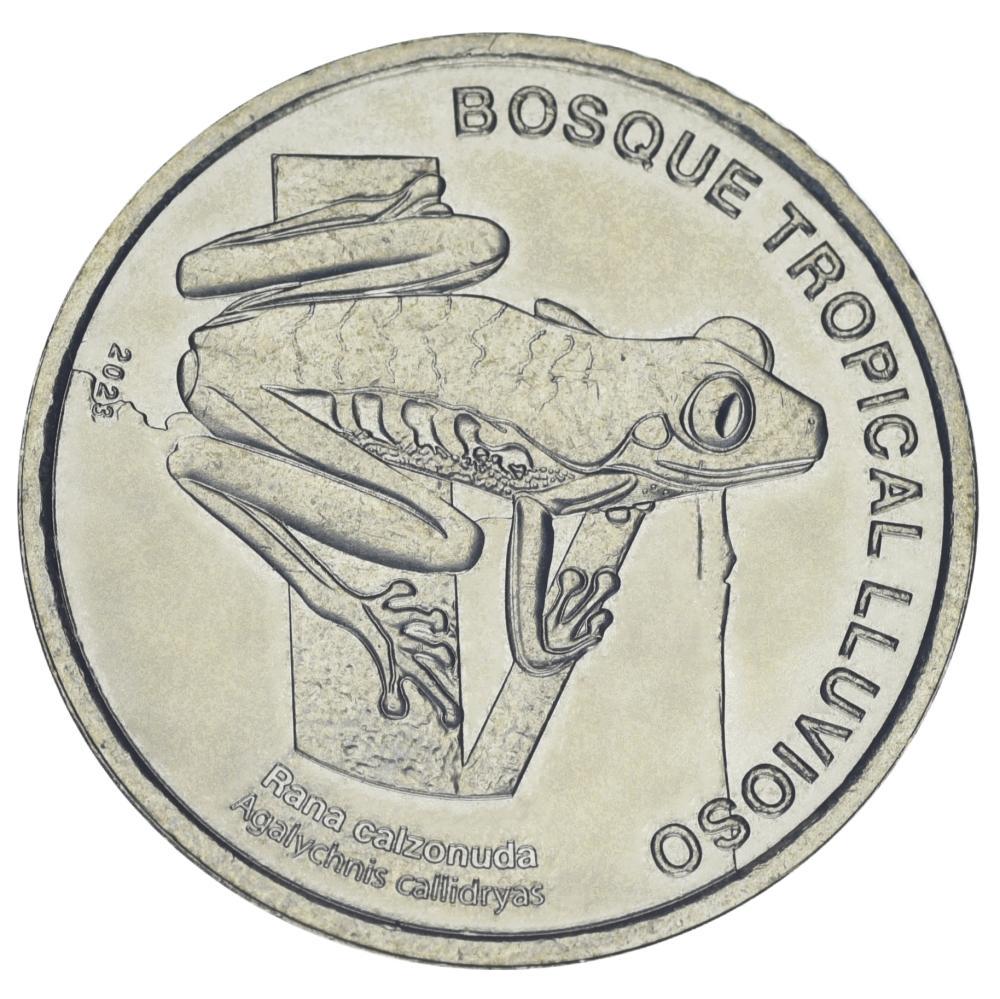 Коллекционная монета Коста-Рика 50 колонн 2023/2025 UNC Жаба (М21963)