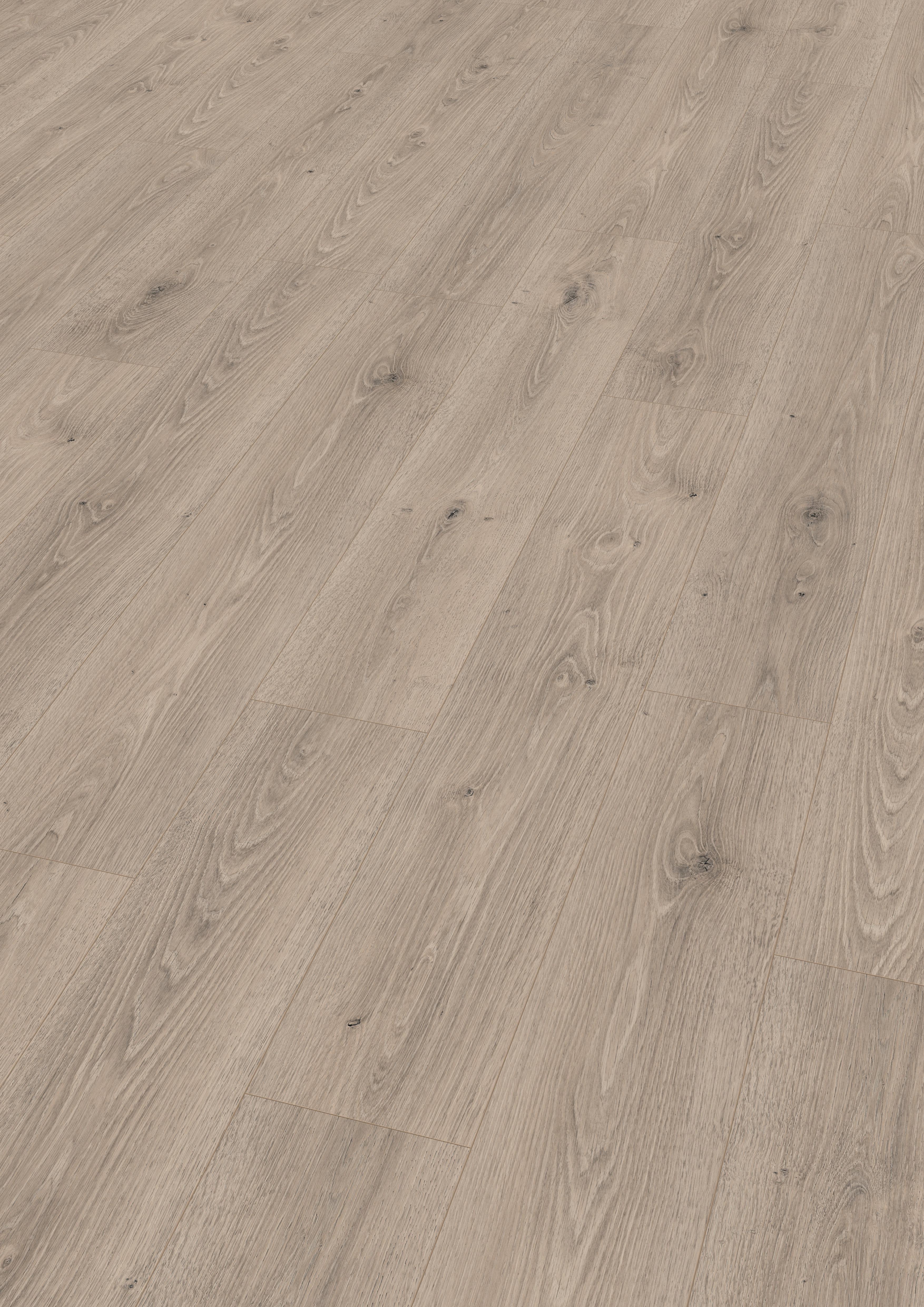 Ламінат Egger Дуб Тревізо 33 клас 8 мм Aqua24 Сірий (0000007904)