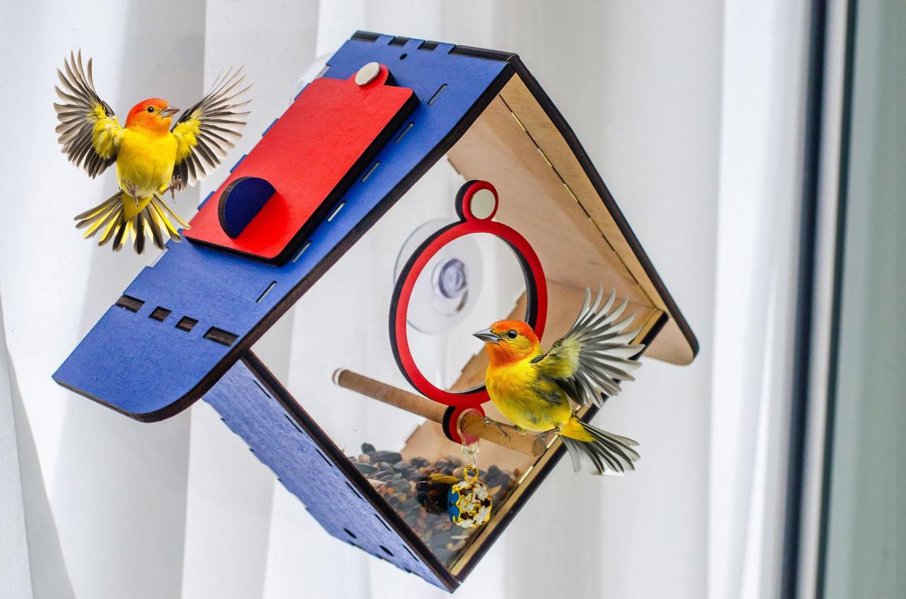 Кормушка для птиц на присосках на окно Колокольчик пластиковый 11,5х11,5 см Синий Кормушка для птиц на присосках на окно Колокольчик пластиковый 11,5х11,5 см Синий