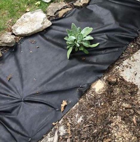 Агроволокно Greentex Р100 3,2x15 м Черный (25247126) - фото 5