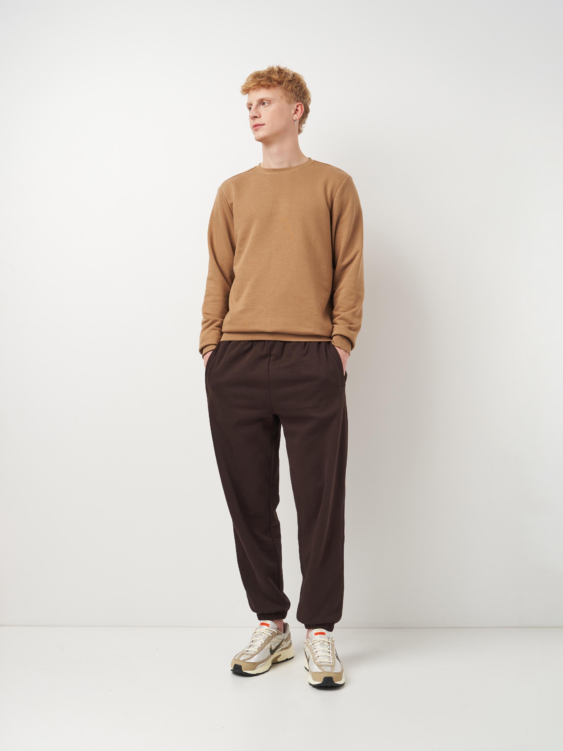 Свитшот мужской ROZA 210542 M Тофи (4824005708770) - фото 2