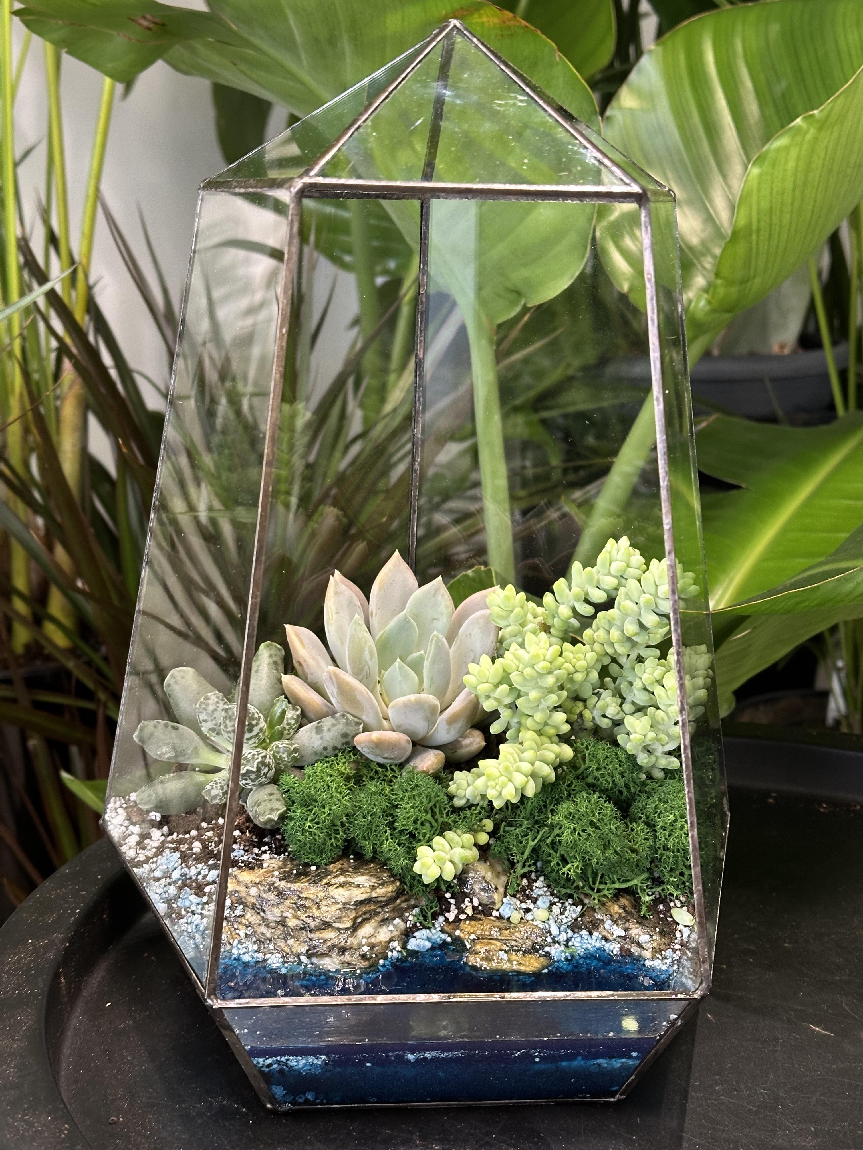 Флораріум з імітацією води Спокійна гавань 30 см (30241161)