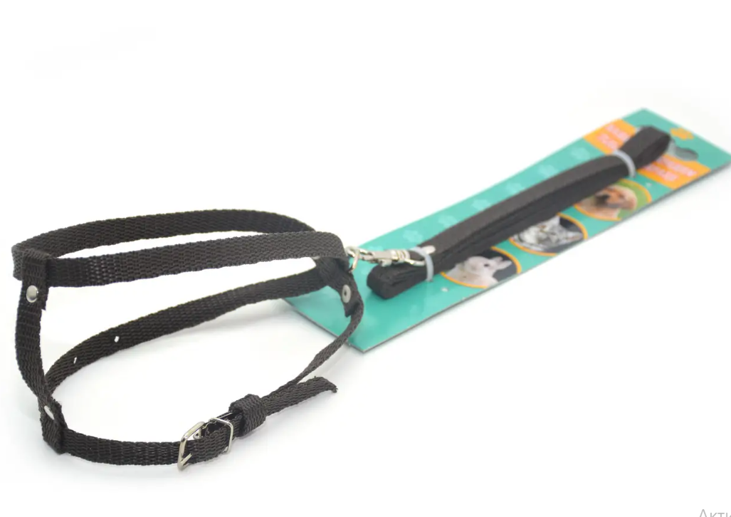 Шлейка/повідець для малих собак та кішок капронова Чорний (00000006949)