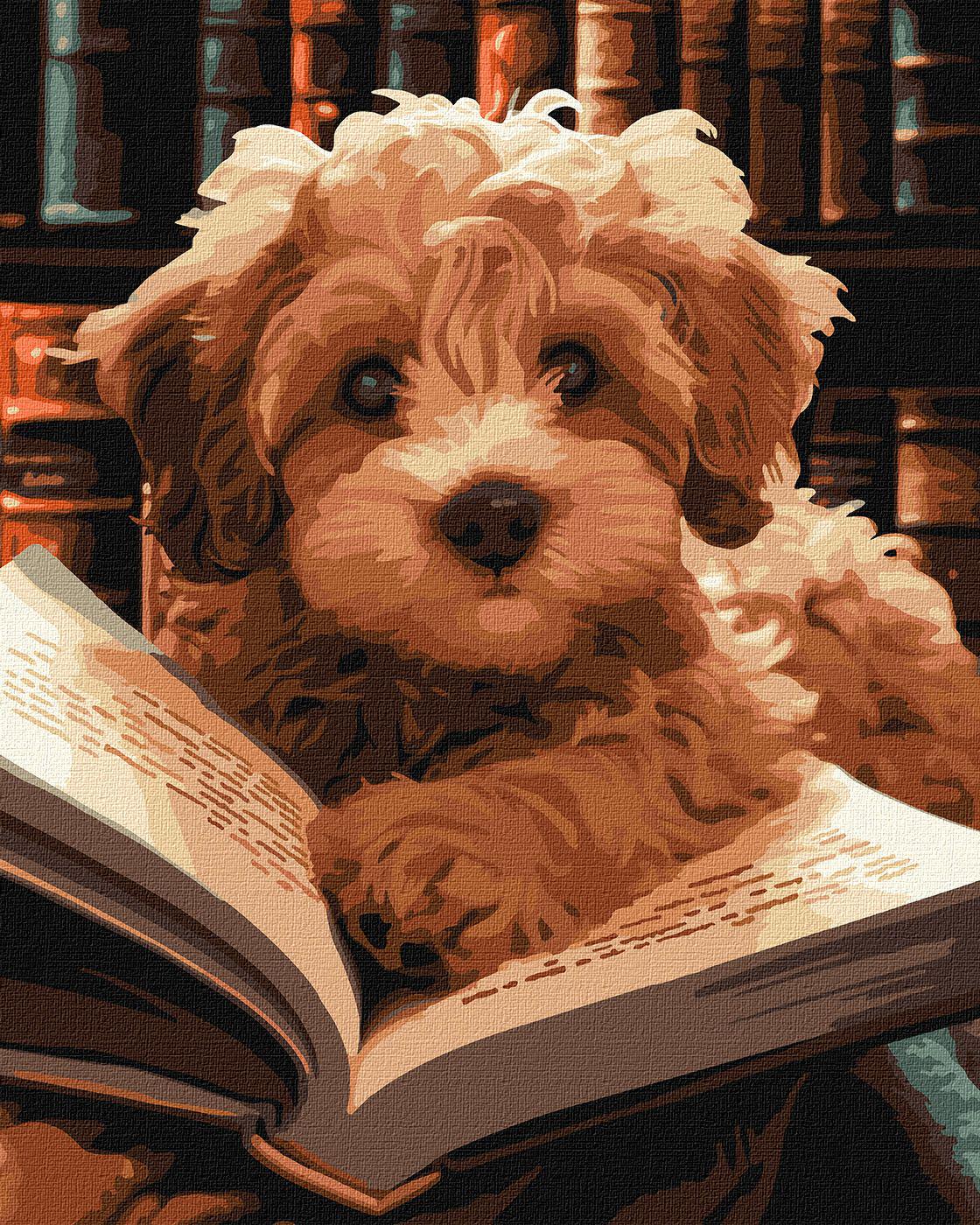 Набір для розпису по номерах Ideyka Пухнастий читач КНО6587 40x50 см (MTT-180080)