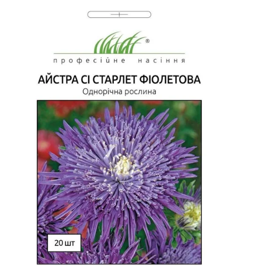 Семена Астра Си Старлет Профессиональные семена ТД Гекса-Украина 02-01-012 20 шт. Фиолетовый (IR003003)