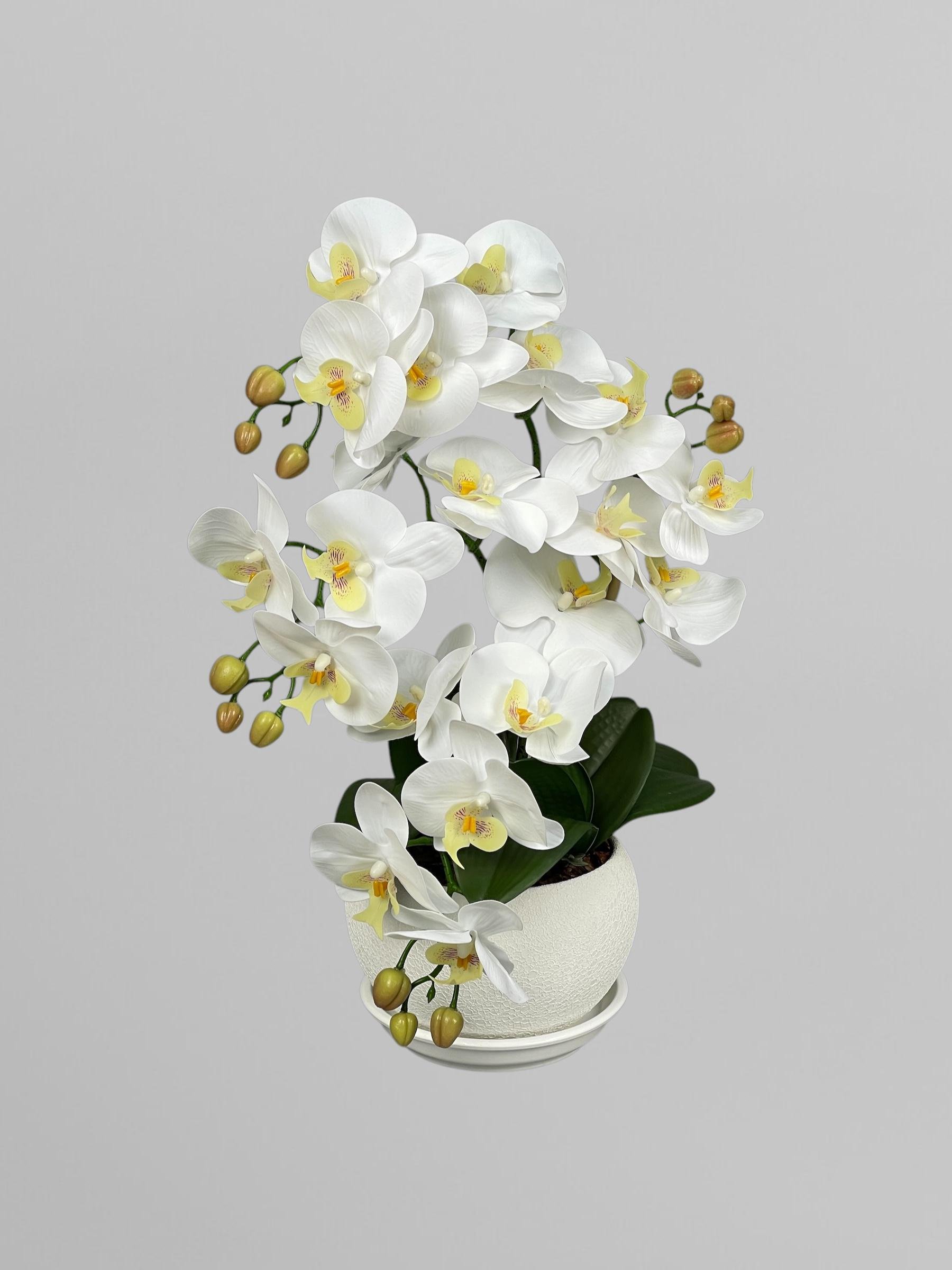 Композиция из латексных Premium мини-орхидей на 4 веточки в белом керамическом кашпо Белый (А158)