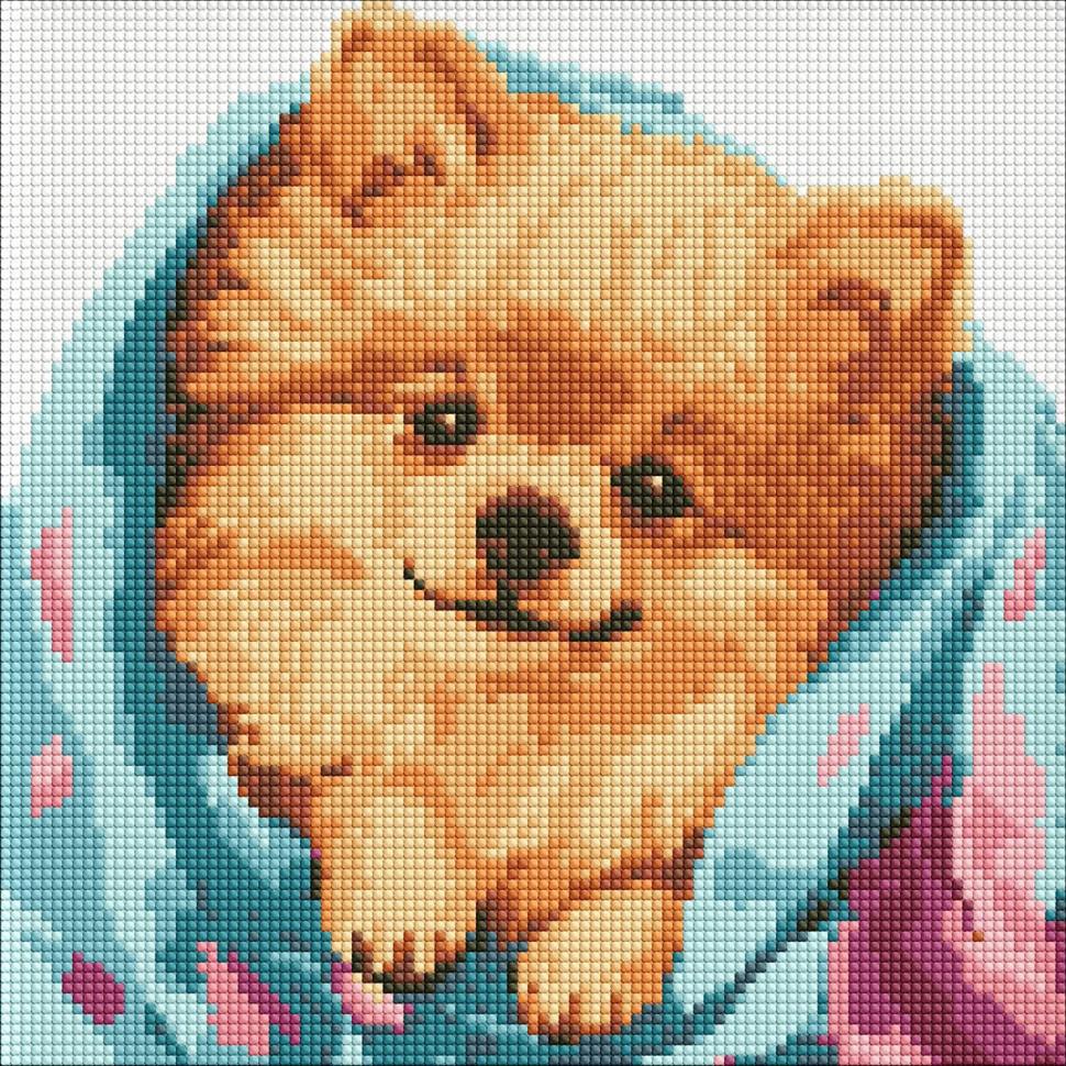 Алмазная мозаика Идейка Счастливый шпиц 30х30 см (AMO7781)