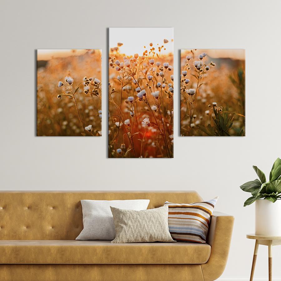 Картина на холсте триптих Дикие ромашки 66x40 см (927-32)