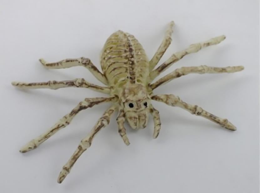 Декор на Хэллоуин Seta Паук Скелет карнавальный (19-246BG)