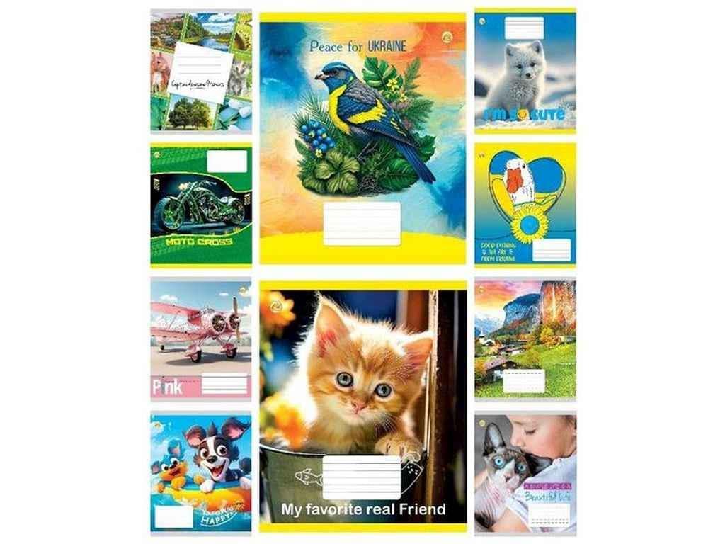 Тетрадь в клетку Тетрада 12 л. 25 шт. твердая ТЕ41104 Микс 4 (1064053)