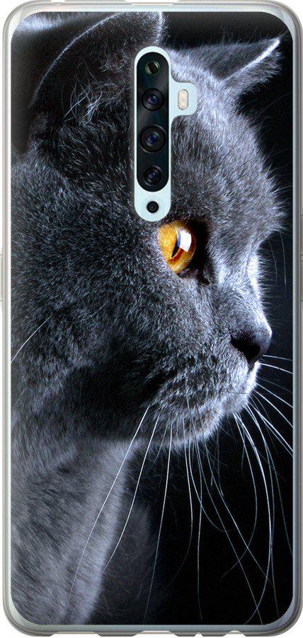 Чехол на Oppo Reno 2Z Красивый кот (3038t-1867-42517)