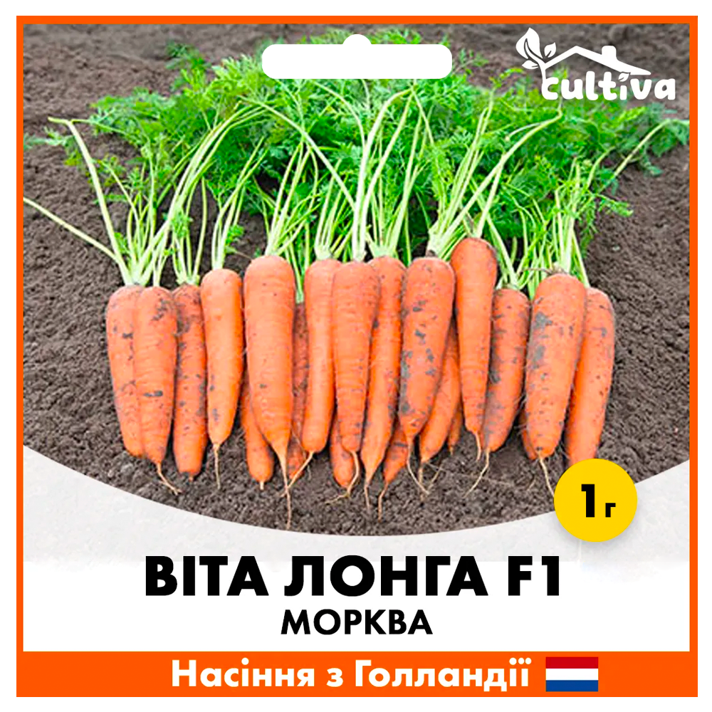 Семена моркови Bejo Вита Лонга 1 г (00165)