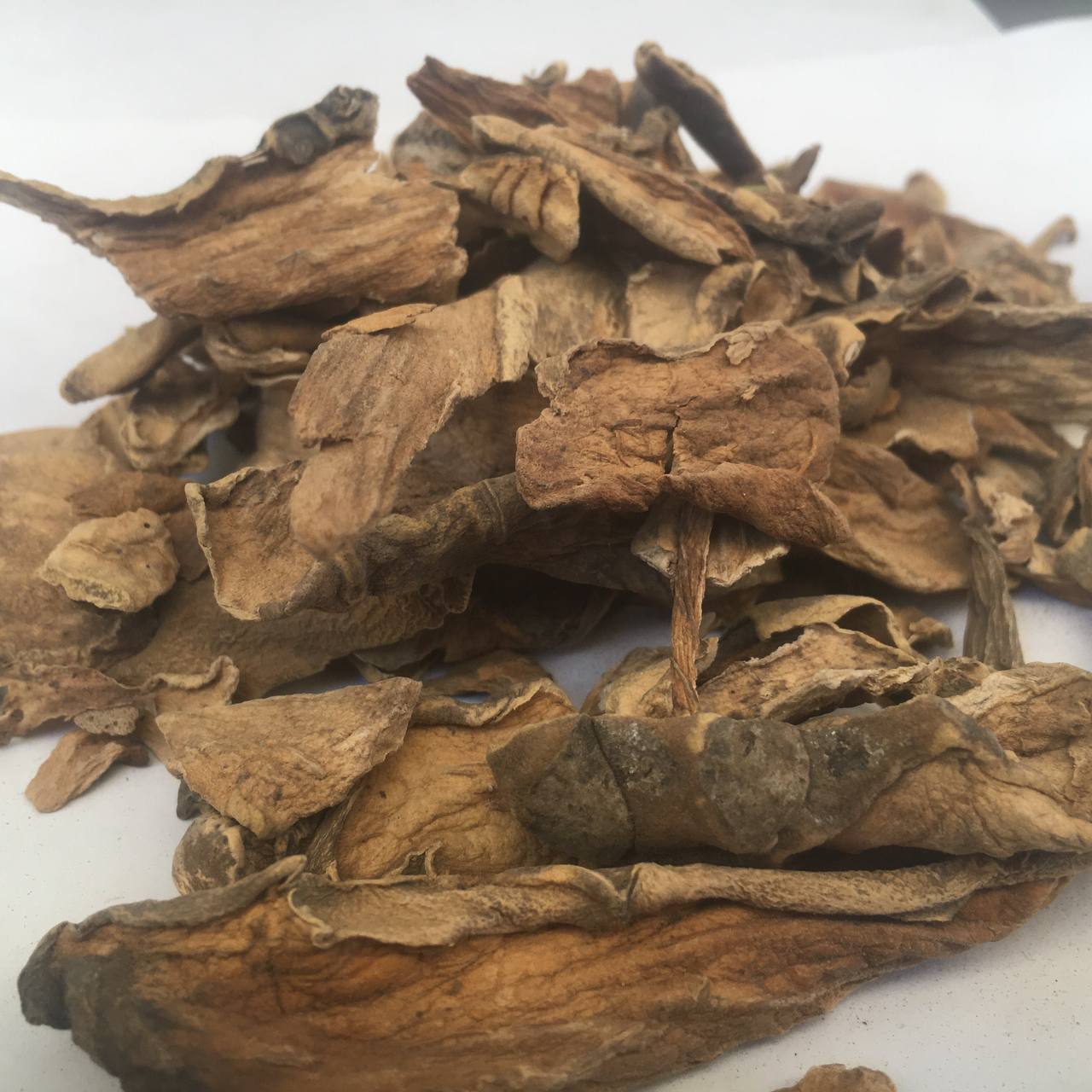 Кубышка желтая корень Карпаты 50 г (6284bfd57b79f77425428423) Кубышка желтая корень Карпаты 50 г (6284bfd57b79f77425428423)