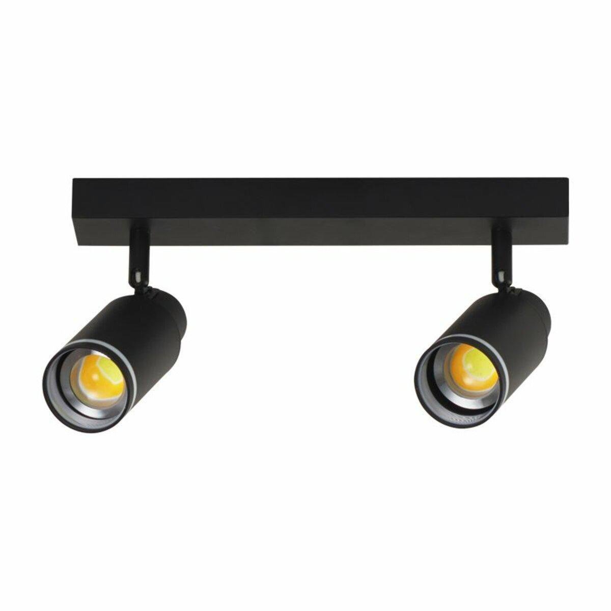 Світильник спот настінно-стельовий Light House SRS-20059/2 BK Чорний