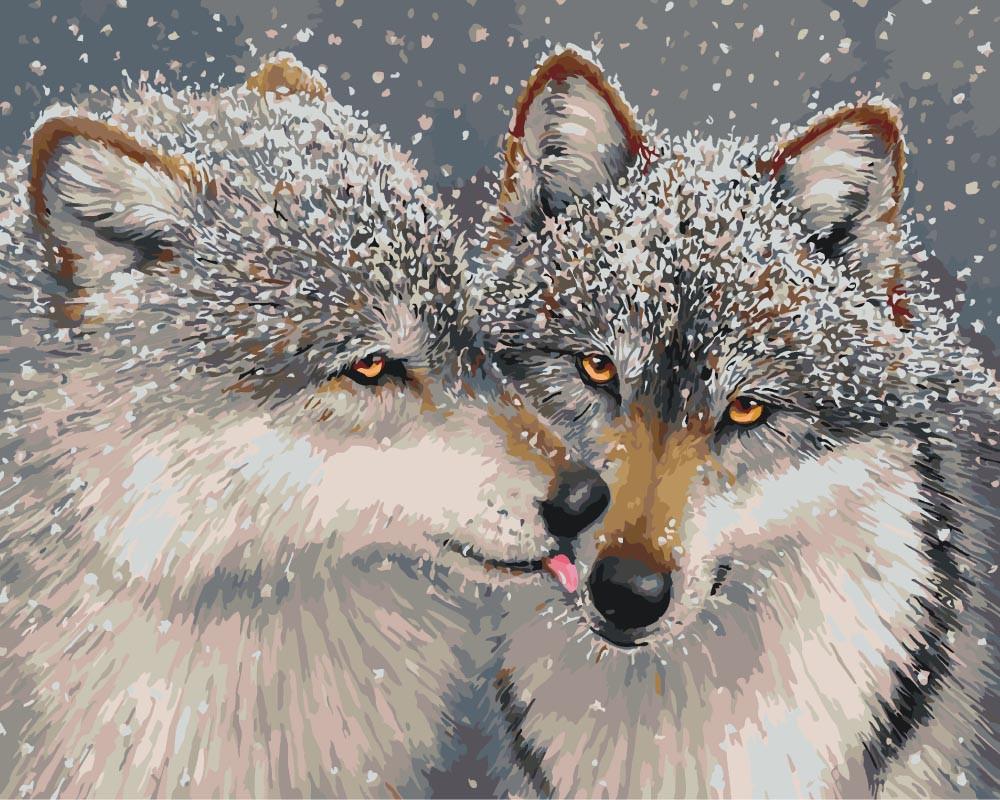 Картина по номерам Идейка Нежные чувства КНО4025 40х50 см