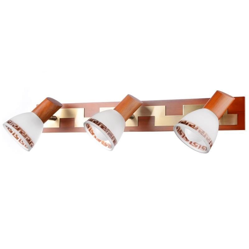 Светильник настенно-потолочный спот поворотный накладной Brille HTL-111S/3