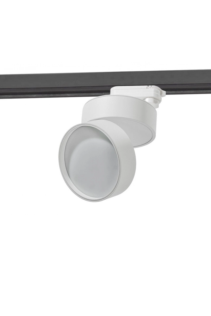 Светильник трековый AZzardo AZ4548 (17847789)