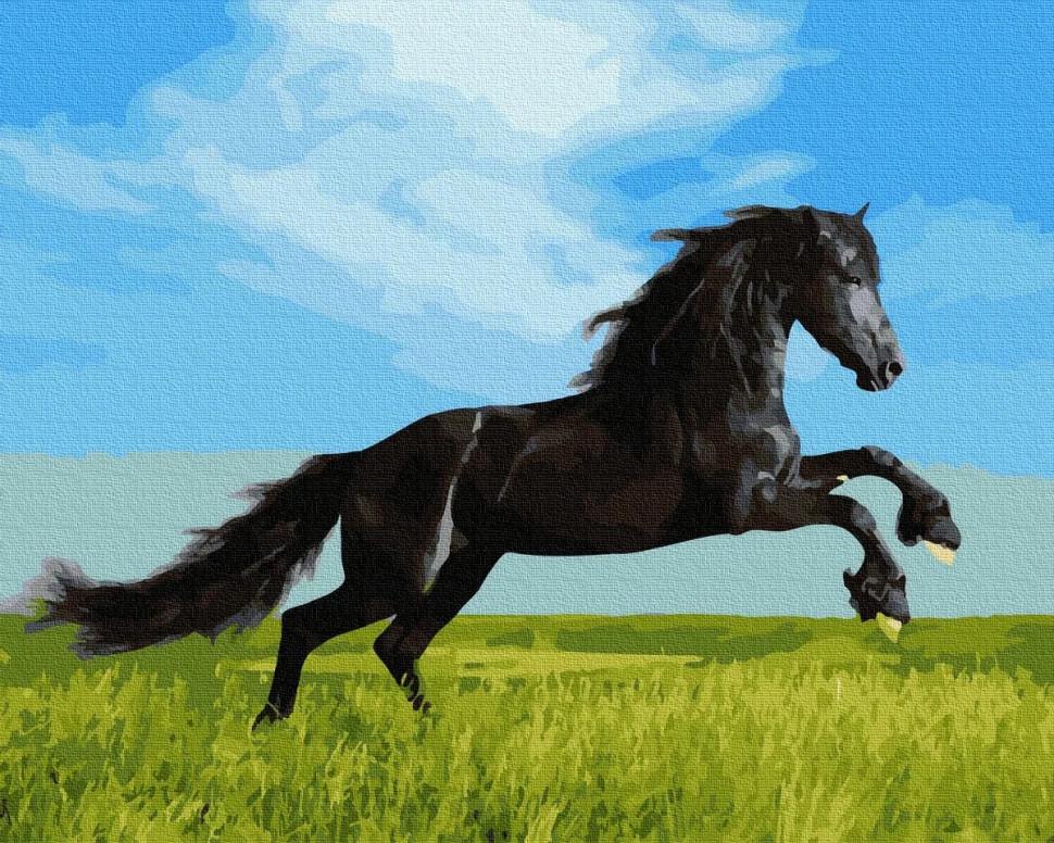 Картина по номерам Rainbow Art Черный скакун (GX36088-RA)