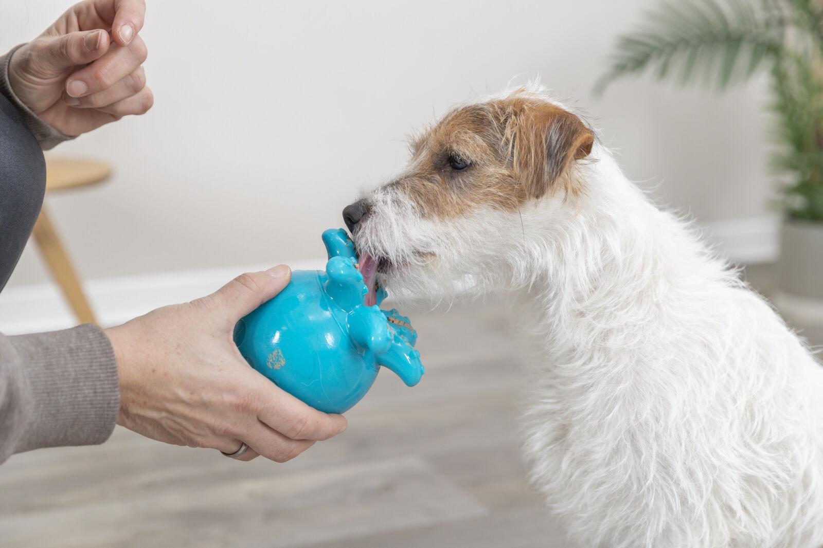 Іграшка Trixie для ласощів змійка для собак 18 см (TX-34950) - фото 7 Іграшка Trixie для ласощів змійка для собак 18 см (TX-34950) - фото 7