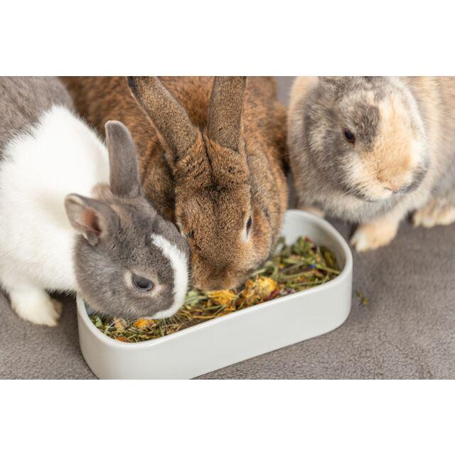 Миска керамічна для гризунів Trixie 600 мл 22x10 см (TX-60744) - фото 3 Миска керамічна для гризунів Trixie 600 мл 22x10 см (TX-60744) - фото 3