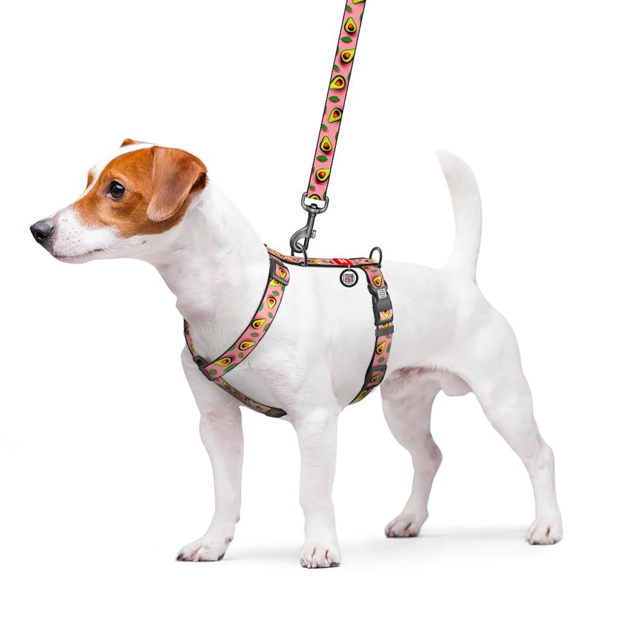 Шлейка для собак с QR-паспортом Waudog Nylon Авокадо анатомическая H-образная с пластиковым фастексом M 20 мм A 38-60 см/B 46-60 см Pink (344-4051) - фото 3 Шлейка для собак с QR-паспортом Waudog Nylon Авокадо анатомическая H-образная с пластиковым фастексом M 20 мм A 38-60 см/B 46-60 см Pink (344-4051) - фото 3