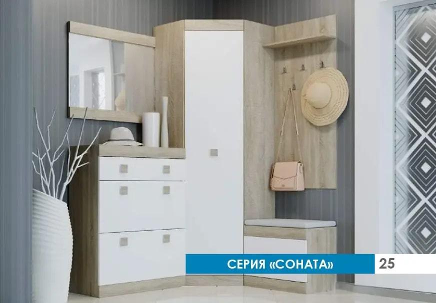 Прихожая модульная Эверест Соната 6 5 ел. Дуб сонома/Белый (EVR-2198)